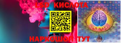 гашик Новозыбков