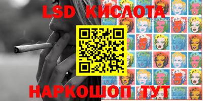 a pvp Новодвинск