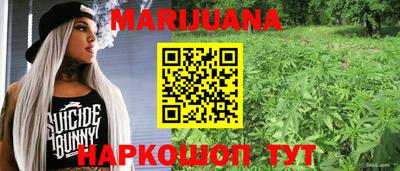 a pvp Новодвинск