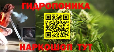 a pvp Новодвинск