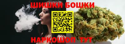 гашик Новозыбков