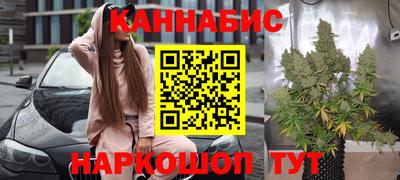 a pvp Новодвинск