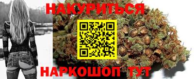 a pvp Новодвинск
