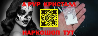 гашик Новозыбков